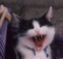 Gääääähhhnnnn